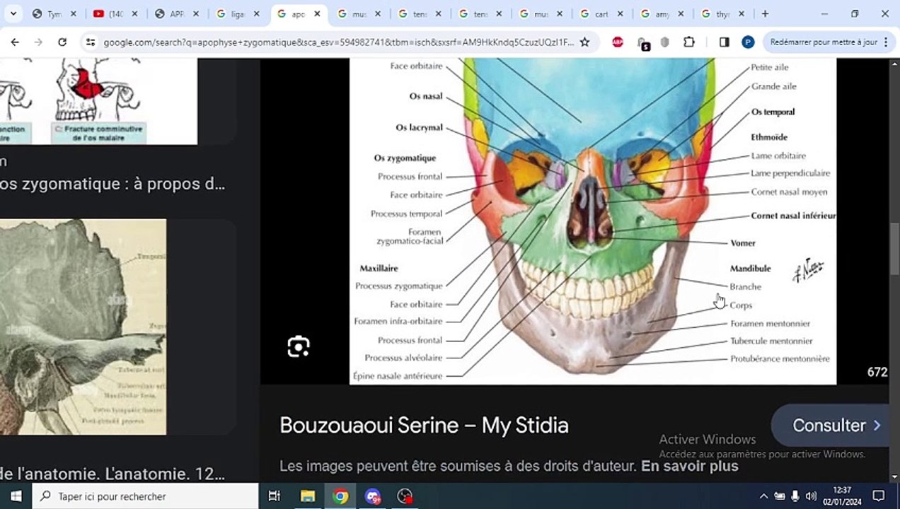 APPAREIL BRANCHIAL PART 1