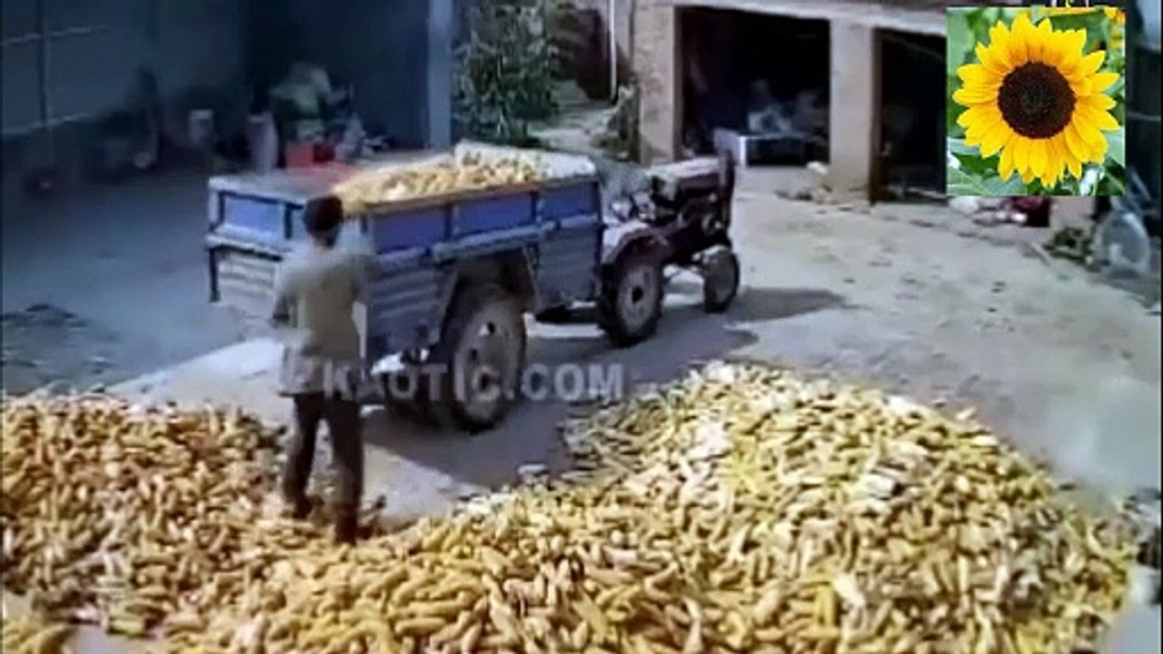 من أغرب مقاطع الفيديو فى عام 2023