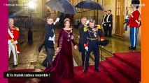 Frederik et Mary de Danemark : Première sortie officielle après l'annonce de l'abdication, le couple sort le grand jeu en famille