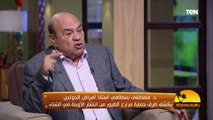 د. مصطفى بسطامي: فرنسا أخذت بعض سلالات الفراخ المصرية لتحسين عوامل الوراثة لديها 