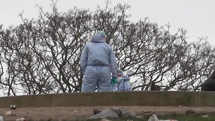 Forensic investigators search London’s Primrose Hill after 16-year-old killed on New Year’s Eve