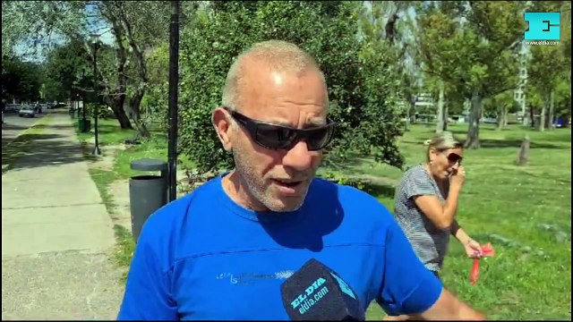 El mosquito inundación , la explicación detrás de la invasión en La Plata