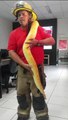 Comandante dos bombeiros de Indaial orienta sobre resgate de cobras