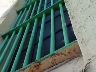 Bad Boys of Summer Bande-annonce (EN)