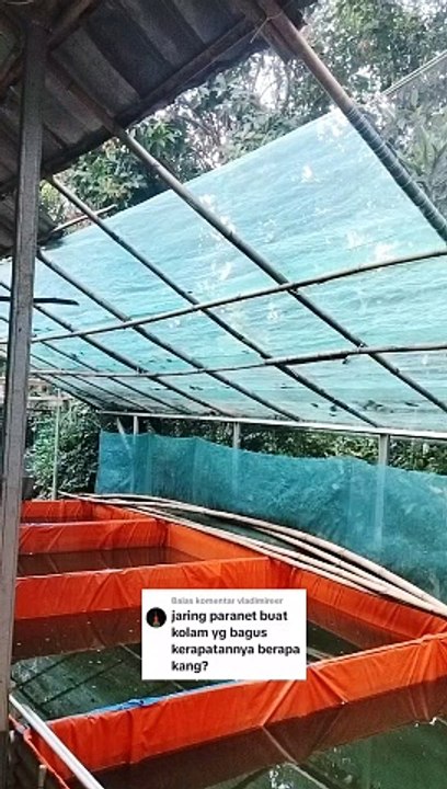 Jaring paranet untuk atap kolam yang bagus kerapatan berapa persen kang❓