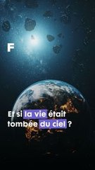 Et si la vie était tombée du ciel ? ☄️