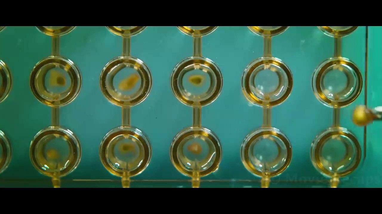 Recap Movie The Colony - In 2045, Earth Becomes a Frozen Wasteland Forcing Humans To Hunt Each Other as Food