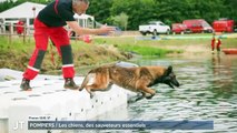 POMPIERS / Les chiens, des sauveteurs essentiels