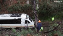 Un tren choca contra dos árboles en Vicedo (Lugo) y los pasajeros se quedan dos horas atrapados