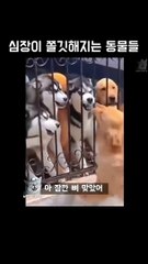 Funny video part No 13