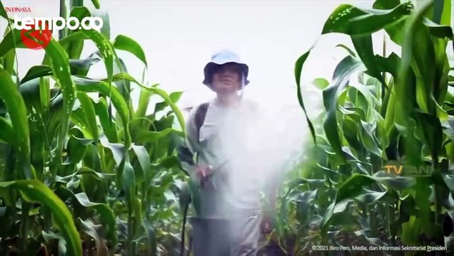 Jokowi Janjikan Petani Tambahan Subsidi Pupuk Rp 14 Triliun