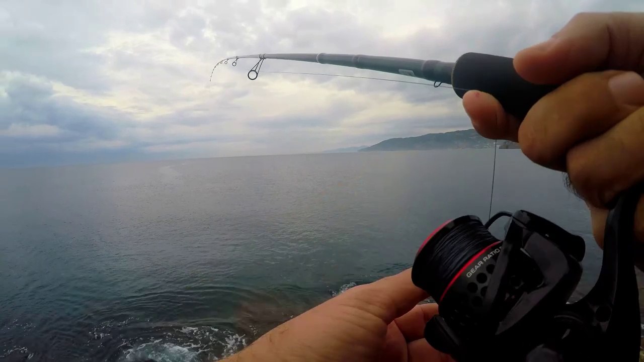 Fishing Videos with Bülent Talay (4)