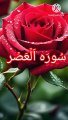 Surah Al Asr | surat ul Asr | quran tilawat | Learn quran | bubak learn quran | Alasr