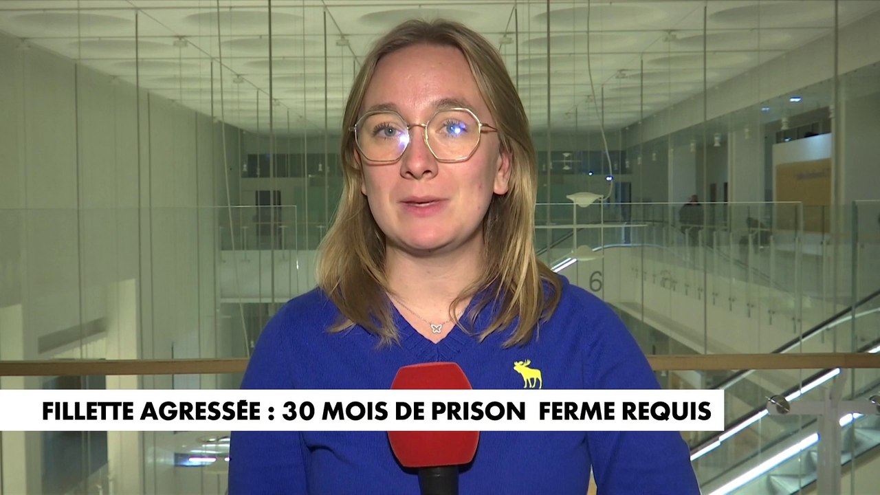 Fillette embrassée de force à Paris : 30 mois de prison ferme requis contre son agresseur