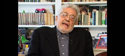 Cercando Sophia (2004)