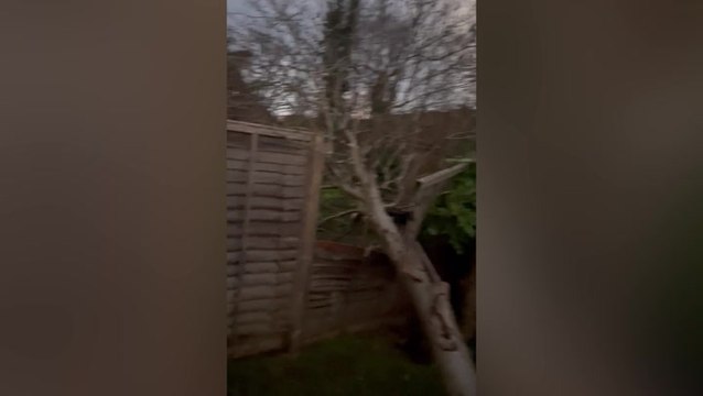 Storm Henk topples tree and shatters garden fence as winds batter Oxfordshire