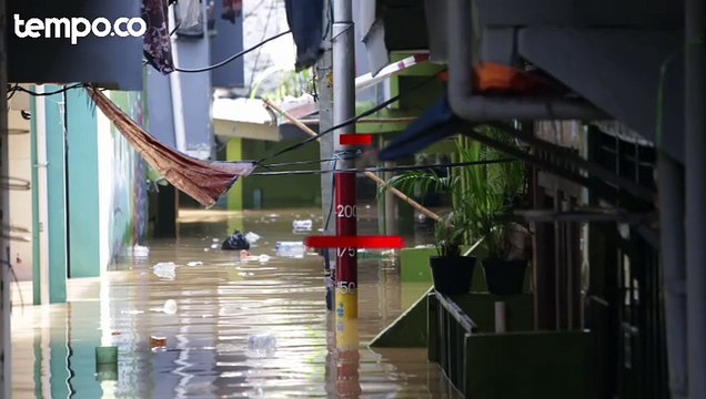Siap-siap Puncak Musim Hujan Bulan Depan, BPBD DKI Petakan 25 Kelurahan Rawan Banjir