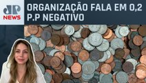 OCDE prevê crescimento reduzido do PIB global para 2024; economista explica