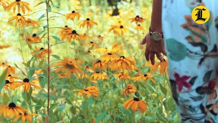 El año 2024 es bisiesto ¿Qué quiere decir y desde cuándo pasa esto