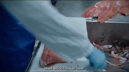 NORWEGIAN DREAM (Trailer) - Frameline47