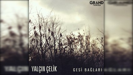 Yalçın Çelik - Gesi Bağları