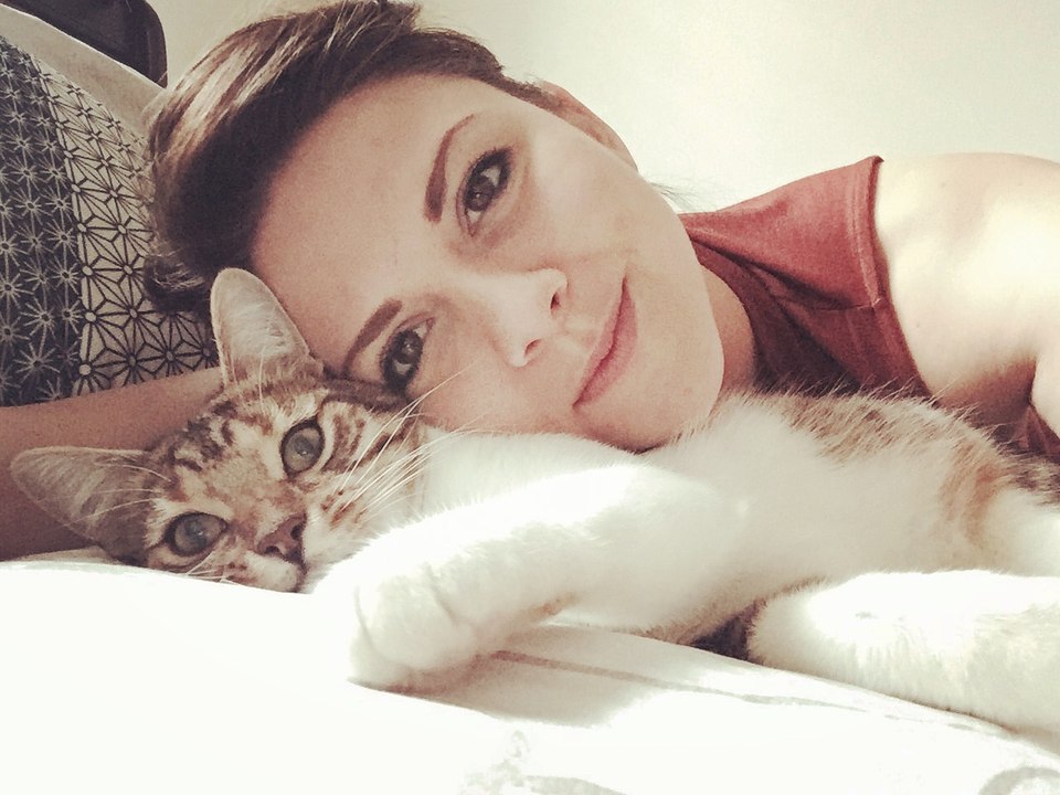 Woman's missing cat found seven years later 300 yards down the road