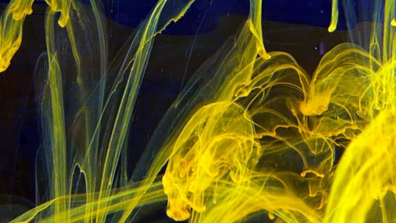 Abstract 4K