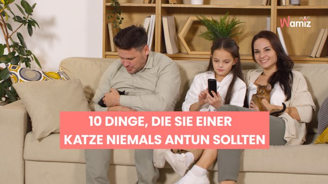 10 Dinge, die Sie einer Katze niemals antun sollten