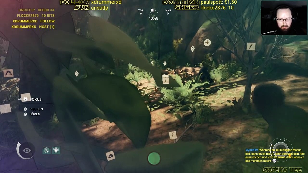 Gruppenaktivitäten. Ancestors: The Humankind Odyssey #6