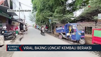 Viral, Bajing Loncat Kembali Beraksi