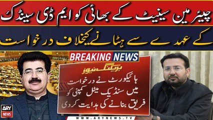 Petition against removal of Chairman Senate's brother from MD Saindak Metals position
