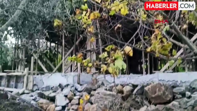 Bodrum'da Kaçak İnşaat Ağaç Dallarıyla Gizlenmiş
