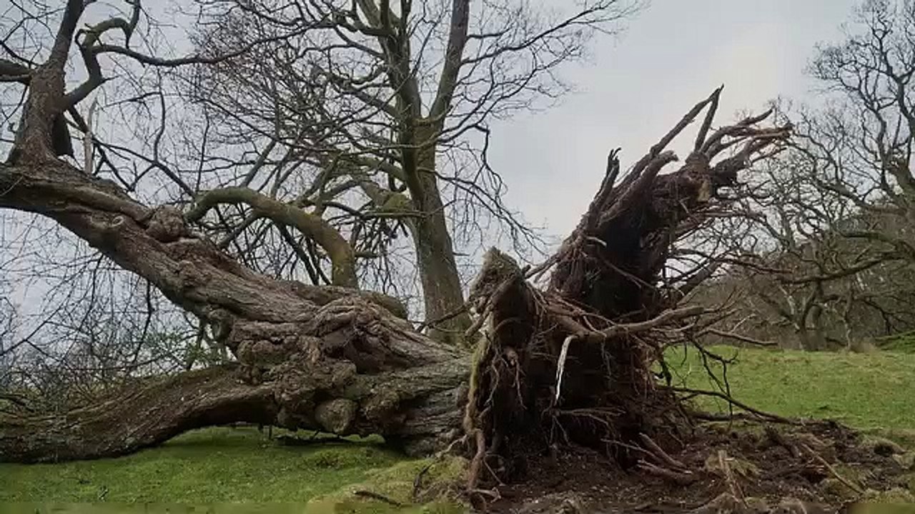 Avon Fire & Rescue issue tips for staying safe...