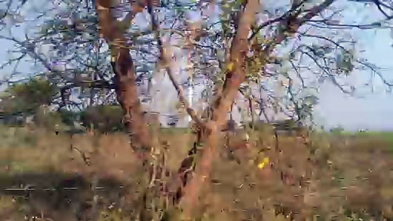 પવન સકી થી પાવર   બનાવટ