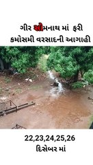 વરસાદને કારણે ખેડુત ખાતેદાર ભરે નુકસાની