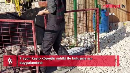 7 aydır kayıp köpeğin sahibi ile buluşma anı duygulandırdı