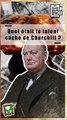 Quel était le talent caché de Winston Churchill | Histoire | Histoire de l'art | WW2 | Art&Facts