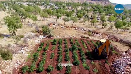 Diyarbakır’da 102 milyon kenevir, 47 ton esrar yakalandı