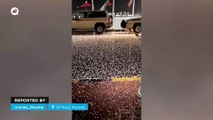 Intense floods and hail in Kuwait and Saudi Arabia.