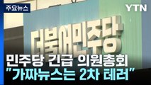 민주, '음모론' 엄정 대처...피의자 '당적' 논란 / YTN