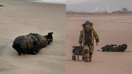 Bomba De La II Guerra Mundial Aparece En Una Playa De California