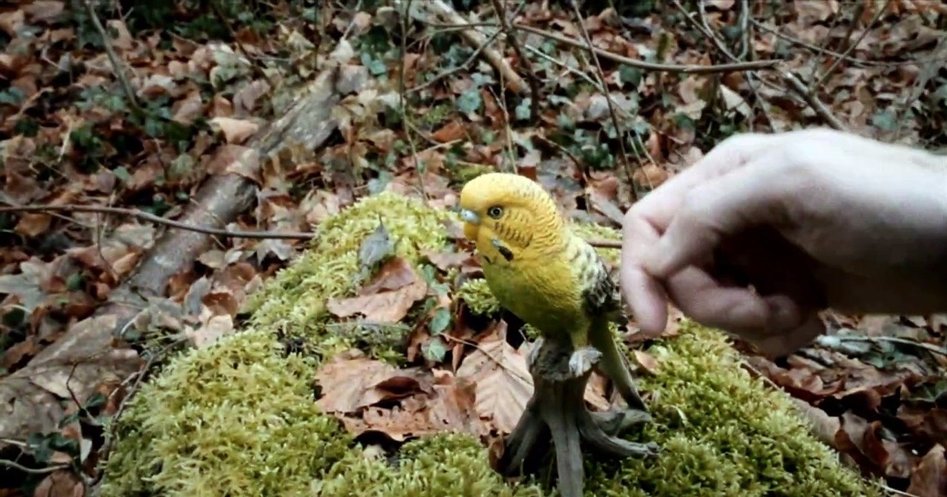 Rammstein - Ohne Dich (Ryan Kamp Vocal Cover)
