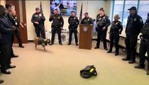 Ce chien policier fête sa retraite avec une pluie de balles de tennis 