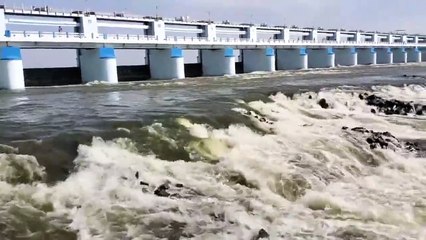 VIDEO: सूखती फसल को बचाने के लिए 15 फरवरी तक मेट्टूर से पानी छोडऩे की अपील