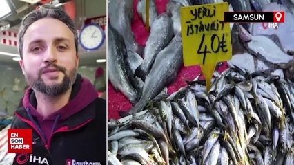 Samsun'da hamsinin boyu büyüyünce rağbet arttı