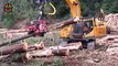 Amazing Fastest Cutting Tree Excavator Machines, Powerful Logging Truck & Wood Sawmill Machines