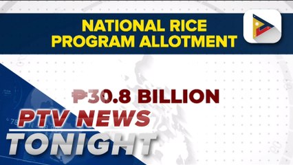 Gov’t allots P30.8B to National Rice Program