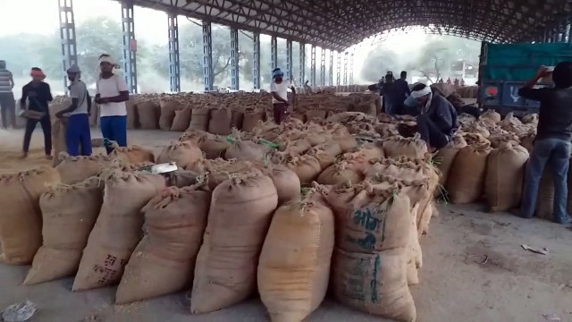 Ban on auction of grains in agricultural market due to stoppage of transportation...