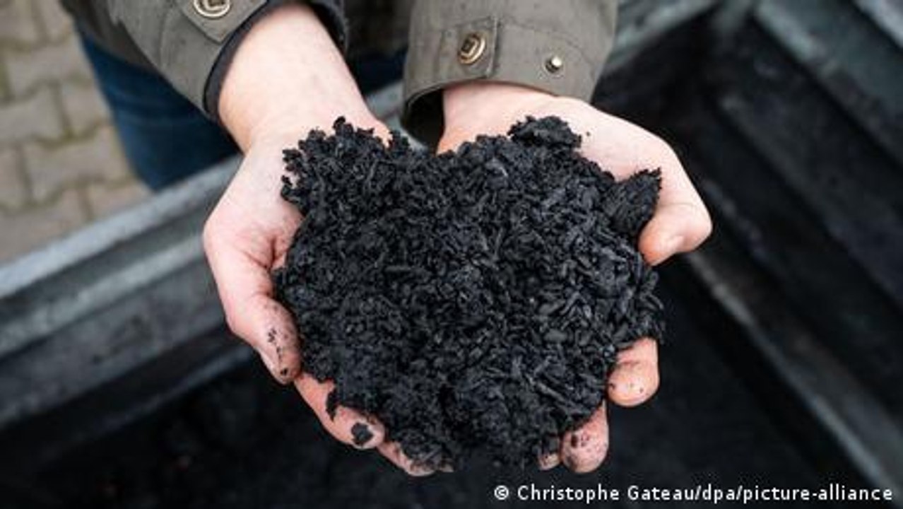 Mit Pflanzenkohle das Klima schützen?