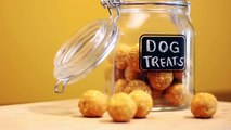 Make These Home-made Treats That Your Dog Will Go Crazy For